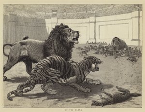 Na arena